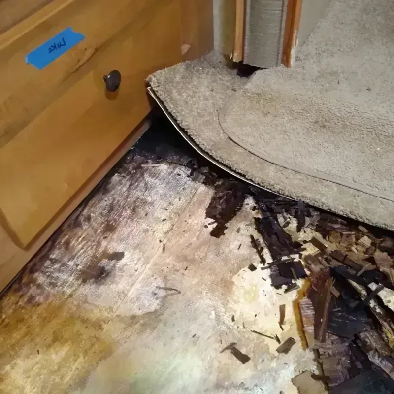 Wood Floor Water Damage in Saint George, FL